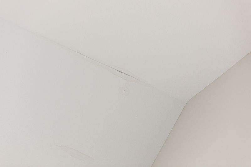 Attic Water Damage Repair in Summerville, SC